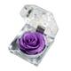 thumbnail image 4 of 1 flor de rosa fresca preservada en cúpula de cristal con decoración de cinta, regalo de rosa para el aniversario del día de San Valentín, cumpleaños (morado pálido), 4 of 4