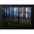 thumbnail image 2 of Lindsten, Christian 24x18 Black Modern Framed Museum Art Print Titled - The Dark Light, 2 of 5