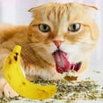 thumbnail image 3 of 5Pcs Pet for Cat Teeth Grinding Catnip Toys Soft Plush Banana Funny Interactive Kitten Chewing Playing Bite Gifts, 3 of 12