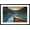 Black Frame, variant on Art.com Canoe on Lake Louise at Sunrise Stretched Canvas Print Wall Art by Miles Ertman, 36" x 24"