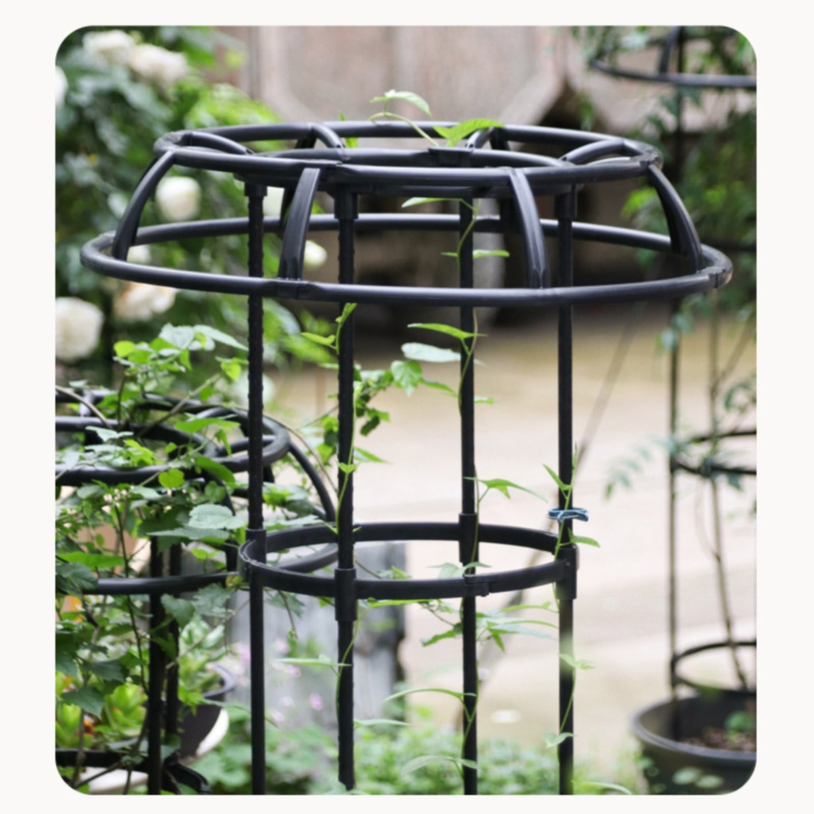 MOQIN Garden Trellis for Climbing Plants Outdoor, 2 in 1 Plant Cages & Supports for Vines Crop, Plant Trellis Support for Potted Plants Climbing Vine Rose Clematis Vegetable Trellis, 1 Pack