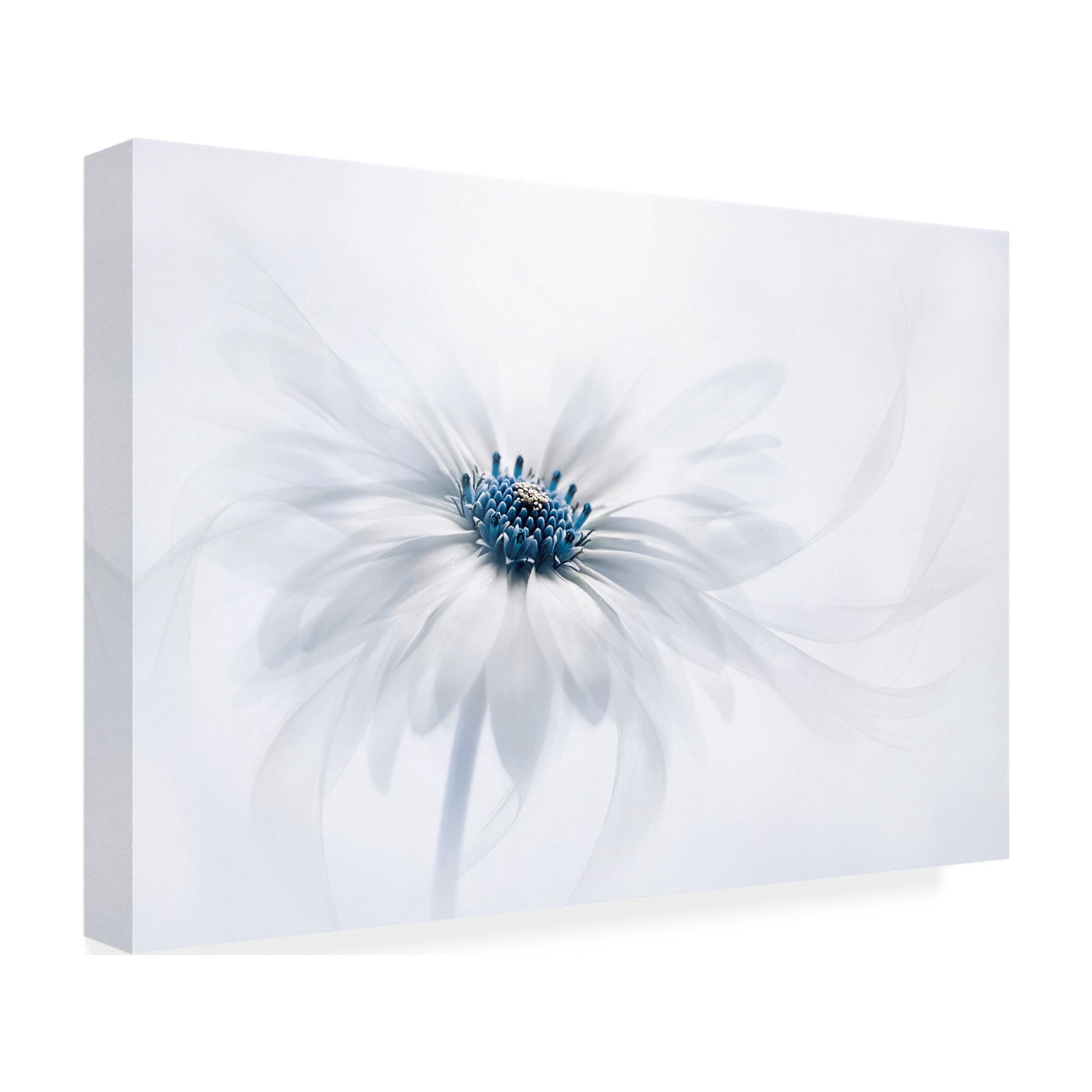 Jacky Parker 'Serenity' Canvas Art