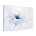 thumbnail image 4 of Jacky Parker 'Serenity' Canvas Art, 4 of 4