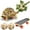 as show, variant on Clearance! Turtle Skateboard and Tortoise Treat Ball Set, Mini Skateboard for Turtle with Anti-Slip Pad, Toys for Turtles with Smooth Rolling Wheels, Tortoise Toy Feeding Balls Vegetable Grass