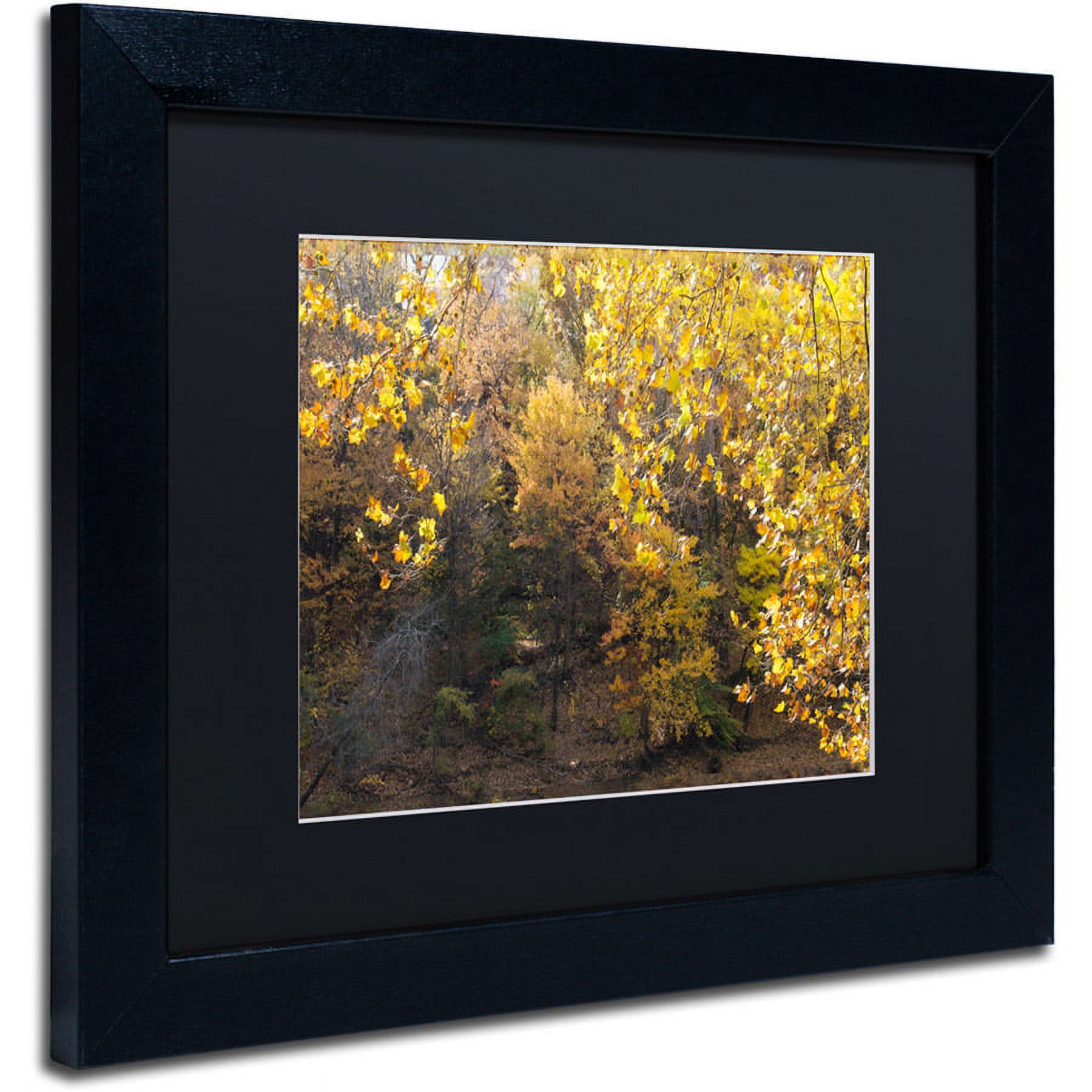 Trademark Fine Art "Golden Autumn 2" Canvas Art by Kurt Shaffer, Black Matte, Black Frame