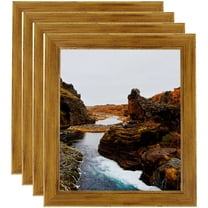 ArtToFrames 11" x 17" Other Picture Frame, 11x17 inch Multi Wood Poster Frame (WOM-4952), 4 Pack