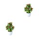 thumbnail image 4 of Plantas Artificiales Bewildely en Macetas Multicolor, 4 of 6