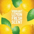 thumbnail image 4 of Pine-Sol Multi-Surface Cleaner, Lemon Fresh, 80 Fluid Ounces, 4 of 5