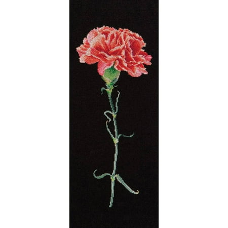 Carnation Cross - Carnation Red On Aida Counted Cross Stitch Kit, 6.5