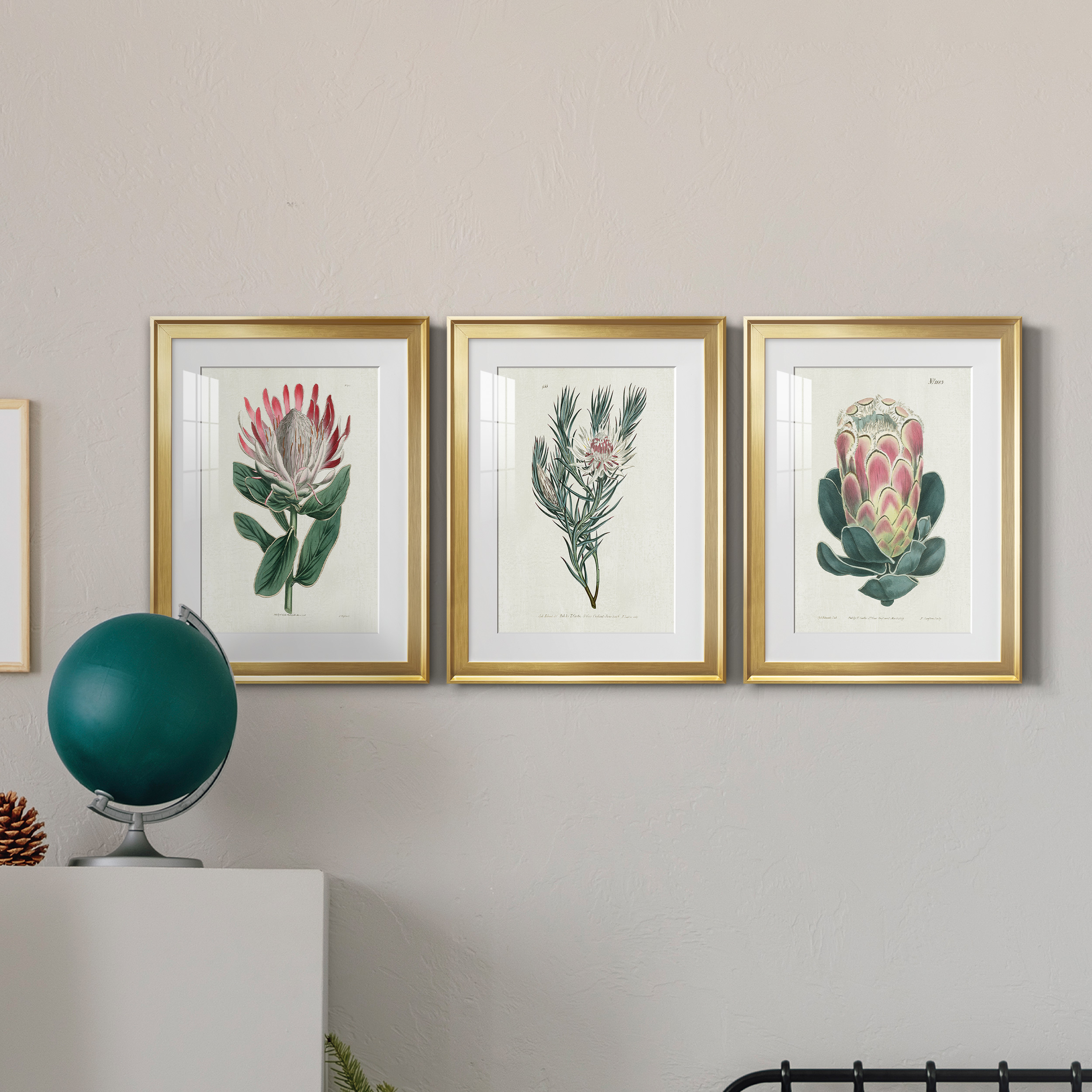 Protea N13 Premium Framed Prints Set of 3 - Ready to Hang - 22 x 30 Each - Gold Frame