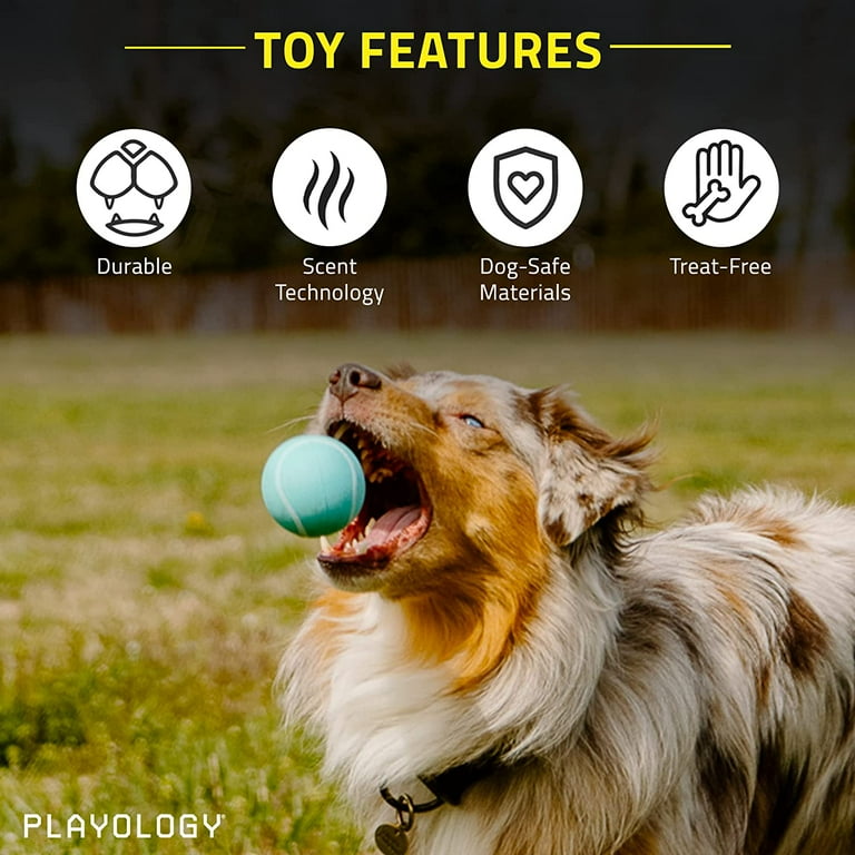 Playology Squeaky Chew Ball for Dogs All Natural Peanut Butter Scent Dog Toy Blue Toy for Medium Large Dogs Bounce Fetch and Play