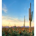 thumbnail image 3 of Desert Duvet Cover Set, Sonoran Desert Catching Days Last Rays Saguaro Cactus Wild Vegetation, Decorative 2 Piece Bedding Set with 1 Pillow Shams, Twin Size, Green Orange Pale Blue, by Ambesonne, 3 of 3