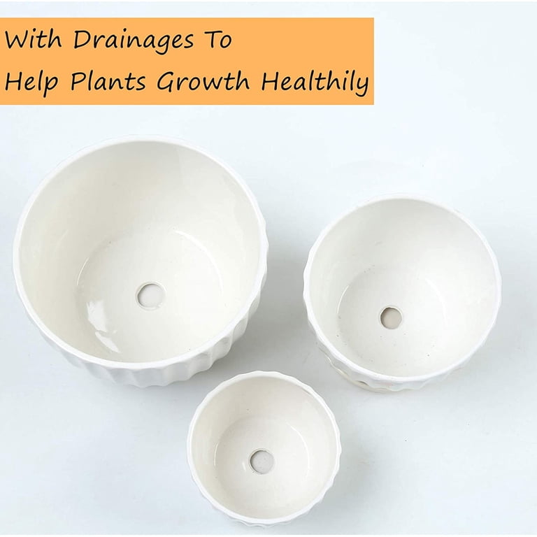 Ceramic Planter Set, 3-Piece White Ribbed Pots photo 7