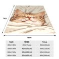 thumbnail image 3 of KLL Sleeping Cat In Blanket Pattern Fleece Throw Blanket,Fleece Throw Blankets for Couch & Bed All Season Use-40"x30", 3 of 7