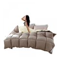 thumbnail image 1 of Couette Alternative en Duvet d'Oie Ultra-Douce Réversible Taupe Sable Très Grand Cal Très Grand, 1 of 5