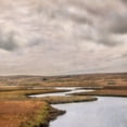 thumbnail image 2 of Poinski, Dianne 12x12 Black Ornate Wood Framed with Double Matting Museum Art Print Titled - Estuary I, 2 of 4