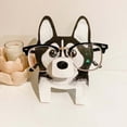 thumbnail image 1 of Stylish Animal Eyewear Display Piece for and Desktop Decoration Accessory, 1 of 3