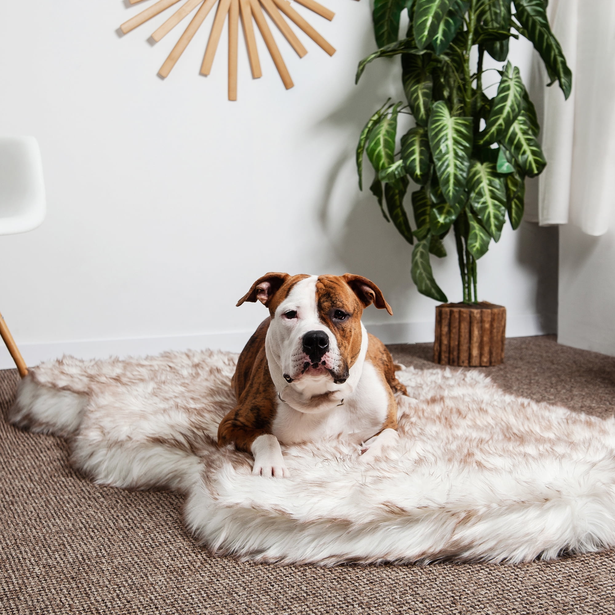 Luxury Orthopedic Dog Bed with Memory Foam – Plush Faux Fur, Calming Anti-Anxiety Pet Bed, Washable Cover, Non-Slip Bottom – Small to XL Sizes