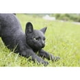 thumbnail image 3 of Hi-Line Gift Cat Stretching-Black, 2.64 lbs., 14.76inchL x 5.31inch W x 9.37inch H (87757-P), 3 of 5