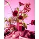 thumbnail image 3 of Perfume Gritti Hysterica Eau De Parfum para mujer, 100 ml, 3 of 3