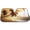 Golden Sunset, variant on BDK UV Palm Beach Vibes Foldable Accordion Durable Windshield Sun Shades - Universal Fit