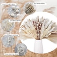 thumbnail image 2 of 109 Pcs Pampas Grass Decor Boho Home Decor Dried Flowers, Beautiful Natural Dried Pampas Grass Bouquet for Office Decor, Wedding Decor, Farmhouse Decor, Festival Decor, 2 of 7