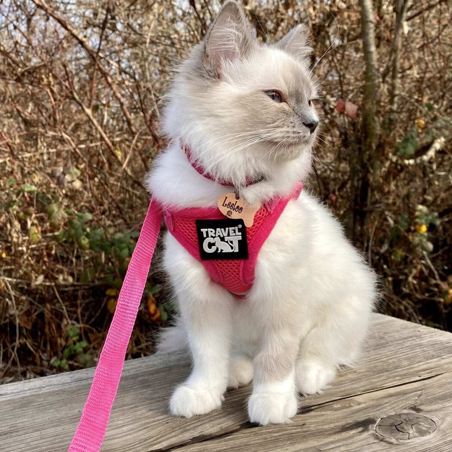 "The Purrfectly Pink" Iridescent Limited-Edition Harness  Leash Set