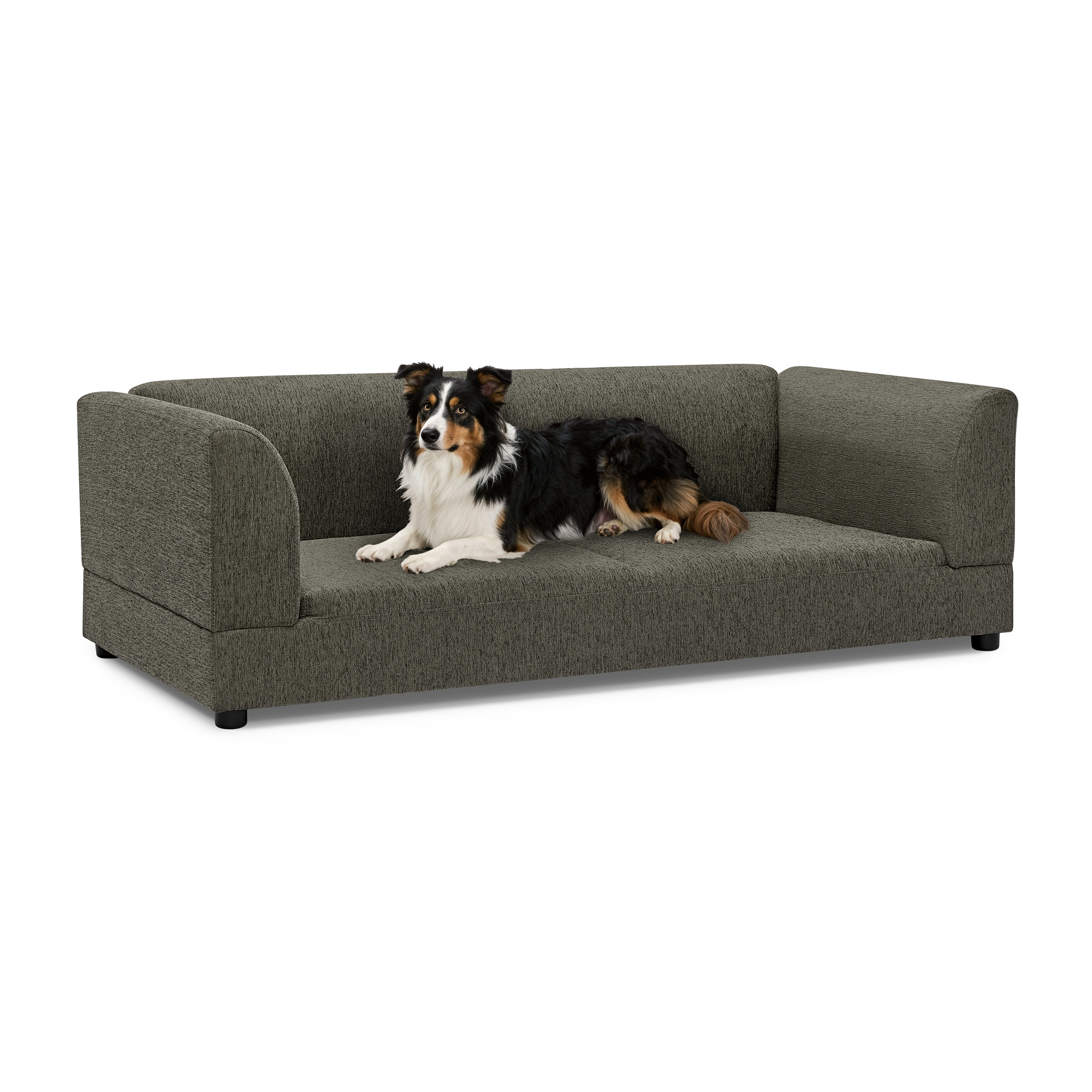 Comfortable Oversized Pet Sofa for Medium/Large Dogs - Modern Rectangular Design with Backrest, Armrests & Soft Cushion -Dark Gray(56.5"*26"*17")