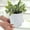 white-1, variant on geerera Plant Pots,Flower Pots with Multiple Drainage Holes and Saucers,Plastic Planters for All Home Garden Flowers Succulents