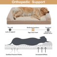 thumbnail image 2 of Cama ortopédica impermeable para perros grandes BFPETHOME, 2 of 7