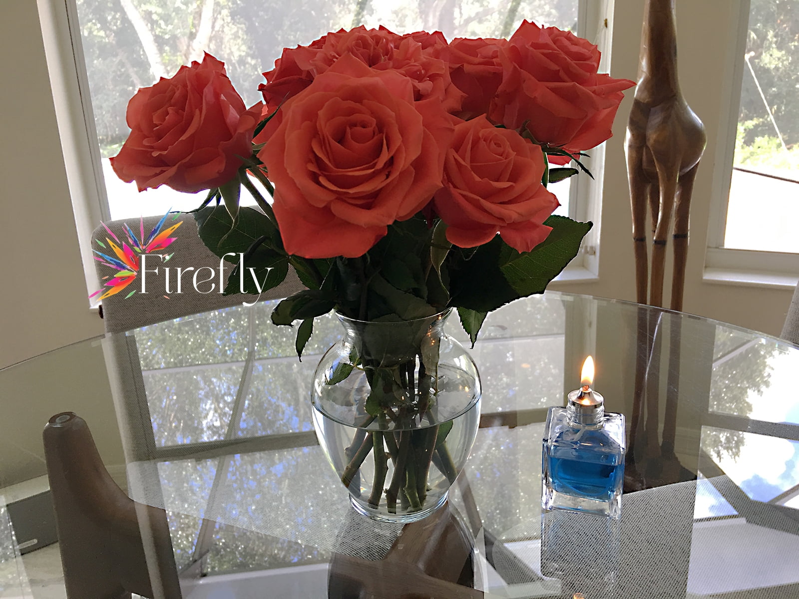 Firefly Fuel Aura Petite Glass Refillable Oil Lamp - 2.75 oz - Clear