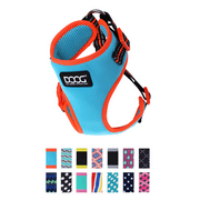 DOOG - Neoflex Soft Neoprene No-Pull Step-In Dog Harness - BEETHOVEN (Blue with Neon Orange Trim)