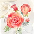 thumbnail image 2 of Coulter, Cynthia 20x20 White Modern Wood Framed Museum Art Print Titled - Garden Roses I, 2 of 4