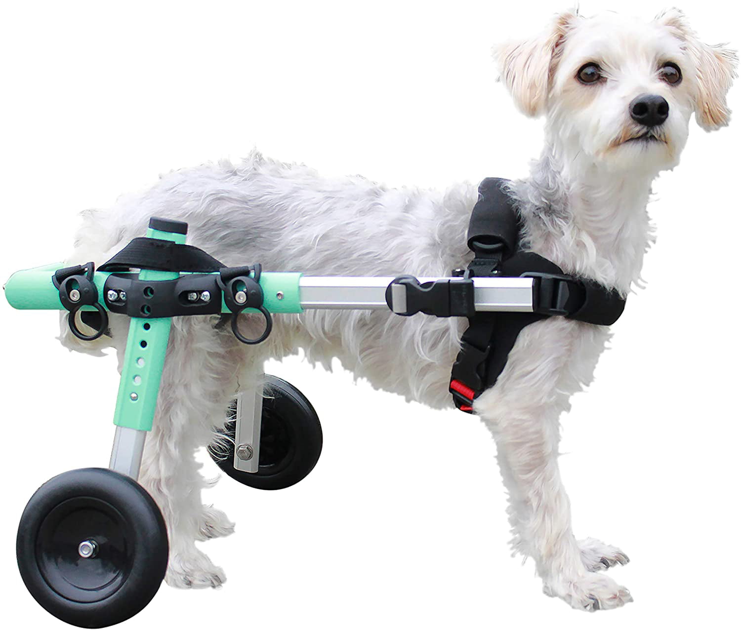Walkin' Wheels Lightweight for Small Dogs 1125 Pounds