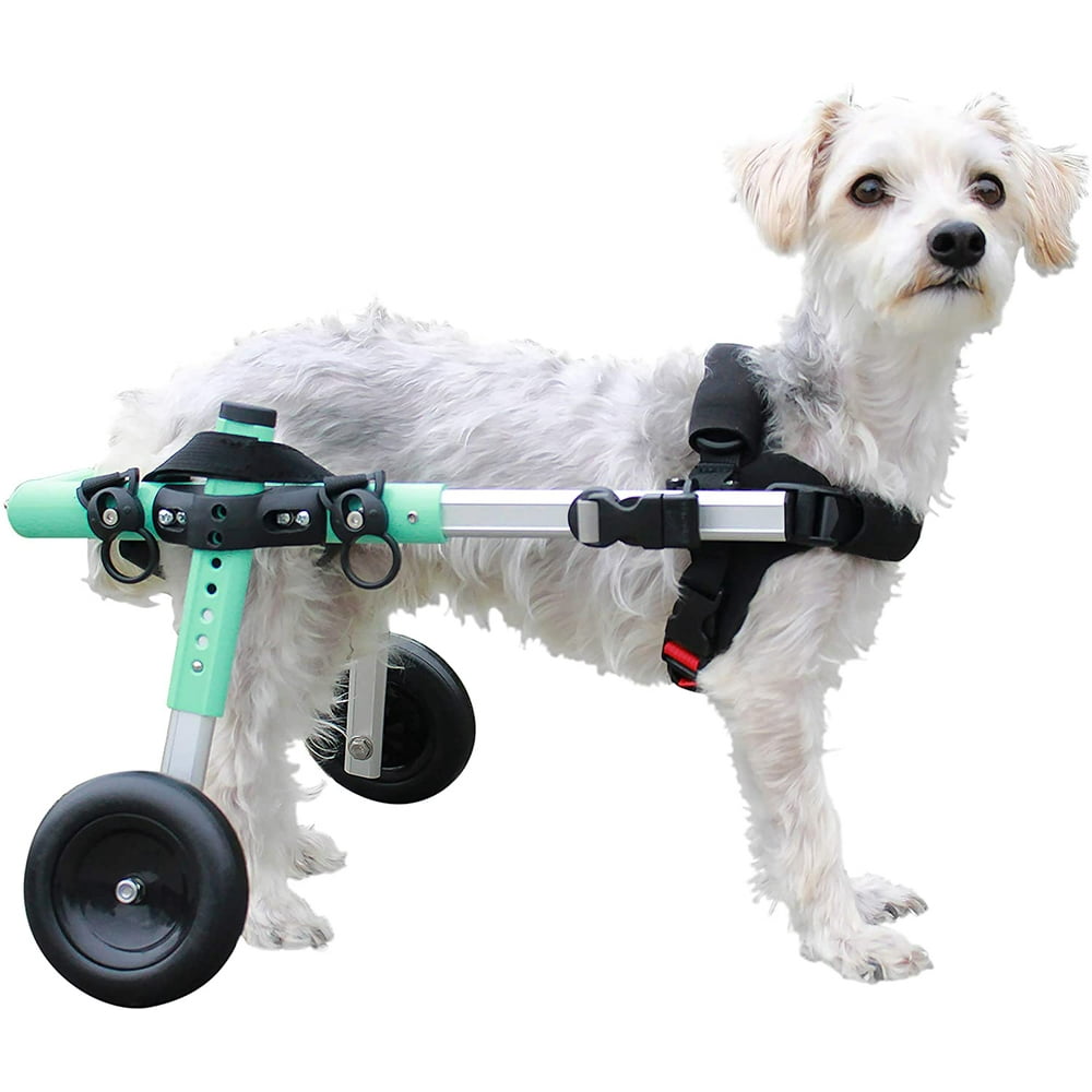 dog wheels for back legs