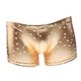 thumbnail image 3 of Hombres atractivos Look Bronzing Ropa interior Trunks - Dorado, XL Hugo ropa interior masculina, 3 of 9