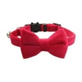 thumbnail image 1 of Cat Soft Velvet With Bow Tie Bell Breakaway Boy Girl Basic Pure Colors Male Female, 1 of 9