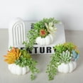 thumbnail image 6 of Thanksgiving Decorations, Artificial White Pumpkin and Plastic Succulents Autumn Fall Tabletop Decor Centerpiece Rustic Farmhouse Decoration for Office Bedroom Kitchen Party Harvest Day, 6 of 9