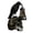 Black, variant on Solar-Powered Crow Skull Resin Figurine, Spooky Halloween Decor for Desktop Indoor Garden Outdoor Holiday Gift(White)
