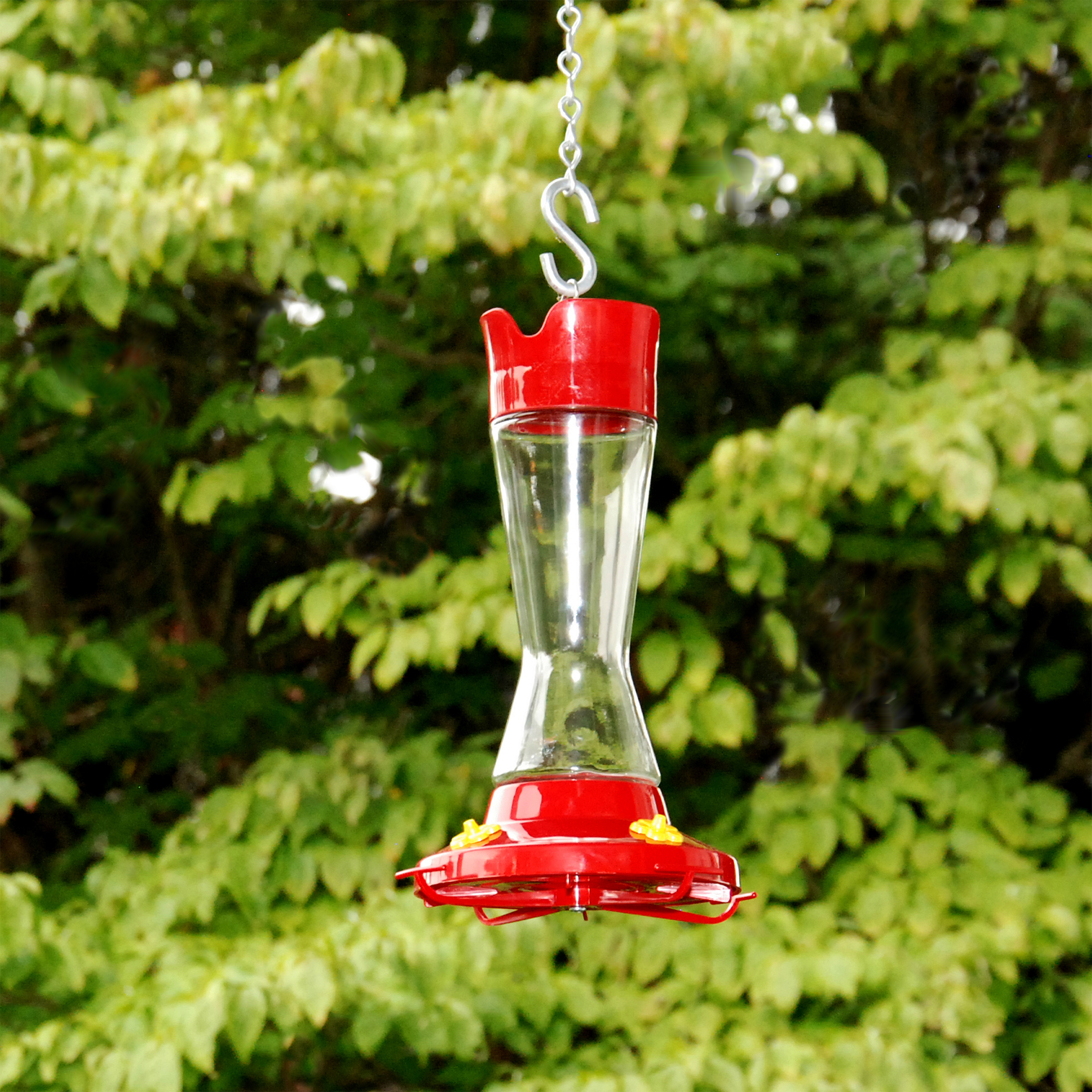 Perky-Pet 210PB Bird Feeder, Pinch Waist, 16 oz, 4-Port/Perch, Hardened Glass/Plastic, Red, 7.1 in H - image 4 of 10