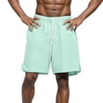 thumbnail image 5 of Mens Shorts Casual Mens Workout Athletic Shorts Hiking Shorts Men Lightweight Sports Gym Shorts Quick Dry Loose-Fit Athletic Shorts Outdoor Hiking Shorts with Pockets, 5 of 6