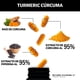 thumbnail image 3 of Turmeric Cúrcuma Con Extracto Al 95% y Pimienta Negra Al 95% 60 Cápsulas Beyond Vitamins Vitaminas en Cápsulas, 3 of 10