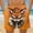Orange, variant on Mens Beach Shorts Summer Drawstring Waist Funny Fox Expression Print Summer Swim Trunks Novelty Beachwear Sports Vacation Shorts with Pockets