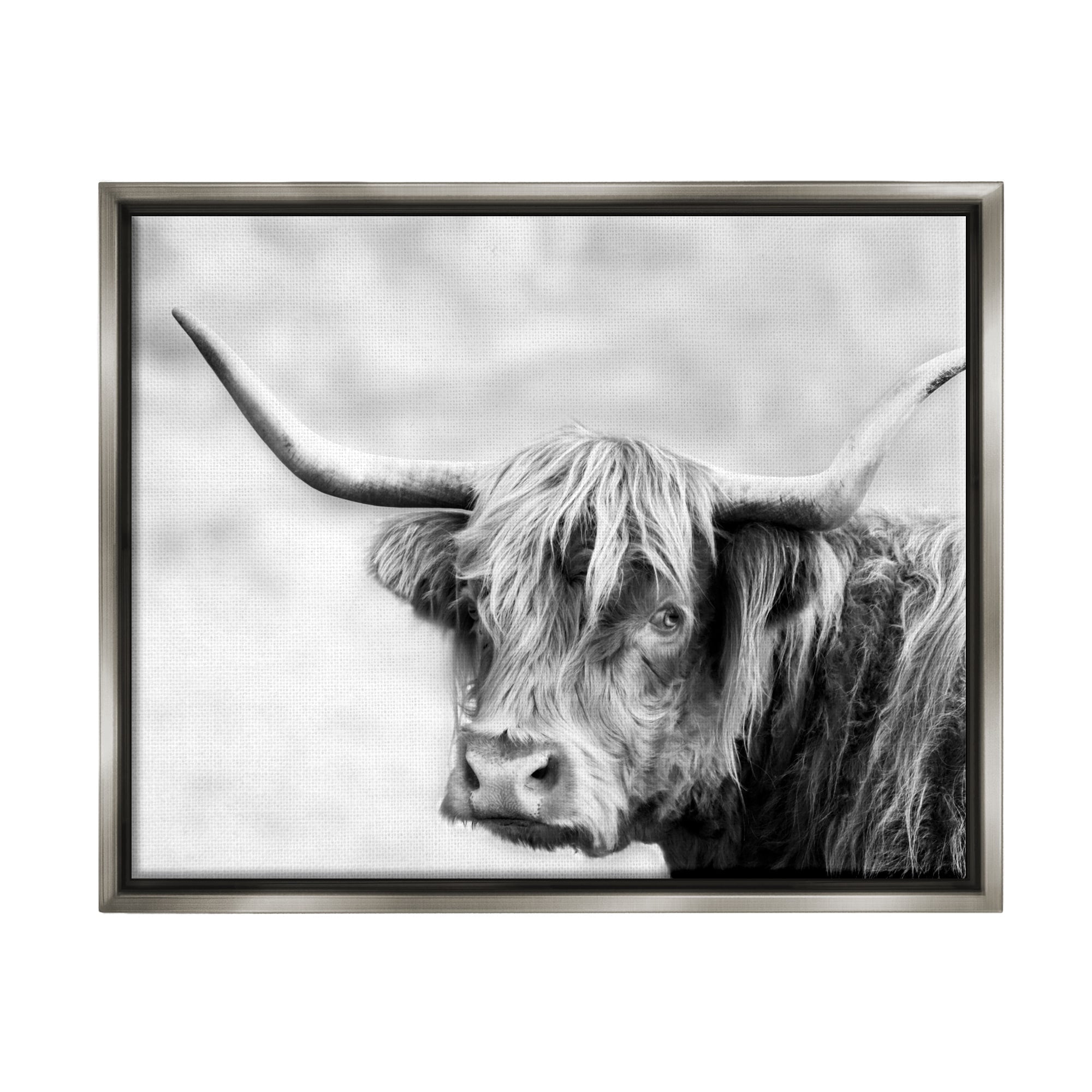 Stupell Industries Bold Country Cattle Black White Photography Wild Animal Luster Gray Framed Floating Canvas Wall Art, 16x20, by Danita Delimont