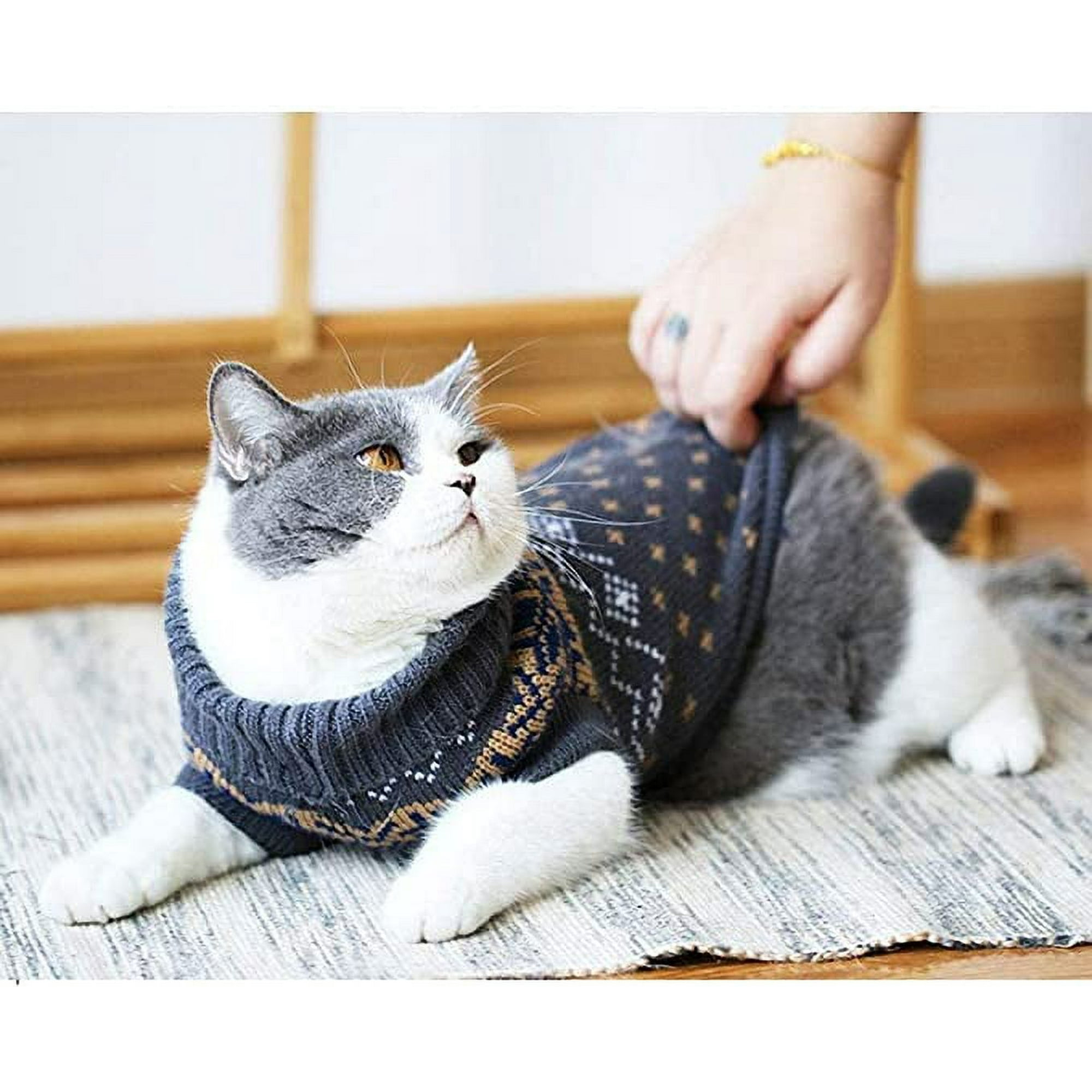 Male cat clothes hot sale