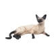 thumbnail image 3 of Figura de gato realista, modelo de gato, estatua decorativa para el hogar, coleccionable, realista. Mentir 11.6x7x5.1cm, 3 of 9
