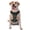 With Accessories, variant on Vsdgher Dinosaur Pattern Dog Harness,No Pull Pet Harness with Soft Padded Handle,Adjustable Reflective Vest with 2 Buckles,4 Slide Buckles,S-XL Medium