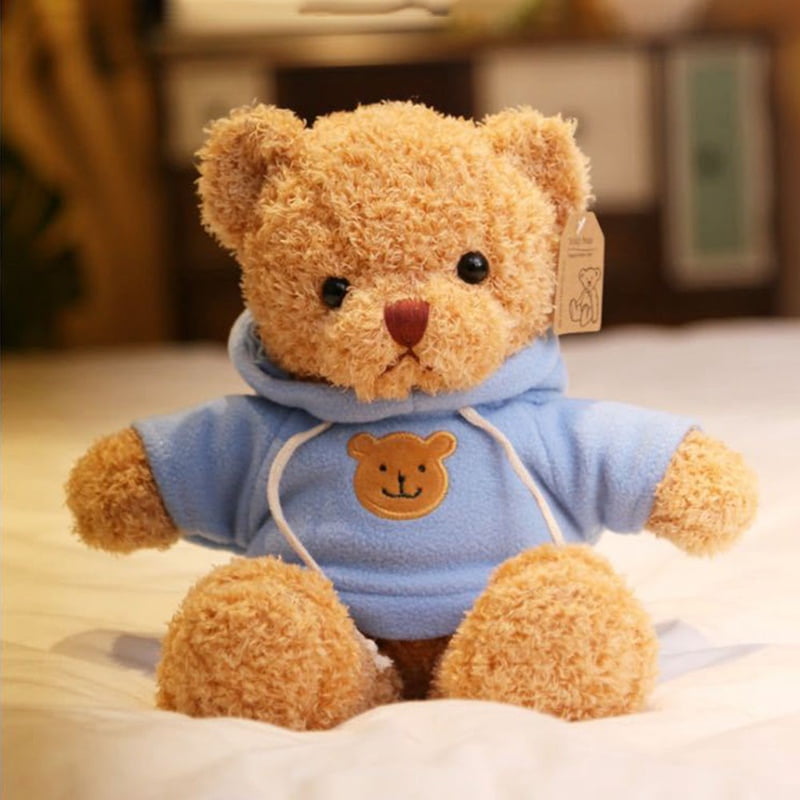 cozy plush teddy bear