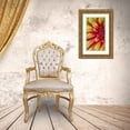 thumbnail image 3 of Mahan, Kathy 12x18 Gold Ornate Wood Framed with Double Matting Museum Art Print Titled - Red and Yellow Dahlia I, 3 of 4
