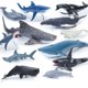 thumbnail image 1 of 12 estilos de vida marina simulada, tiburón ballena, modelo de animales del océano, delfín, decoración creativa para el hogar, juguetes para niños, regalo de Navidad, 1 of 5